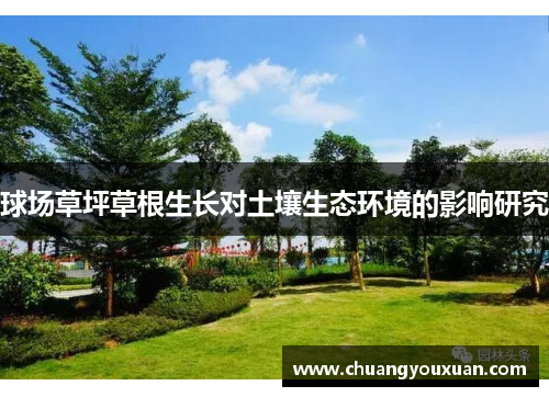 球场草坪草根生长对土壤生态环境的影响研究